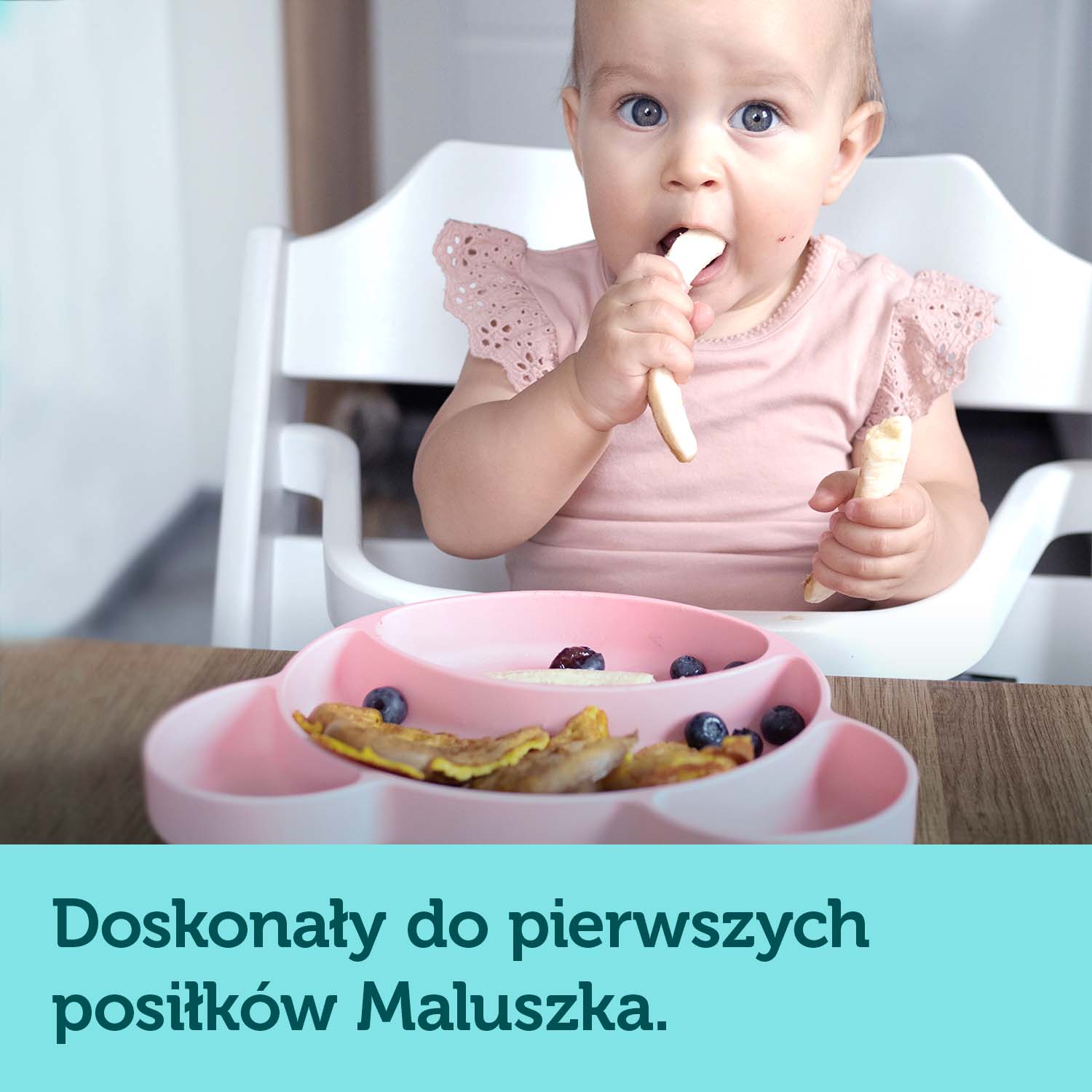 talerzyk silikonowy dzielony z przyssawka
