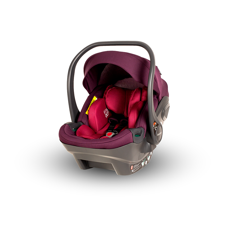 York pink violet