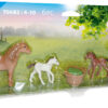 70682 playmobil