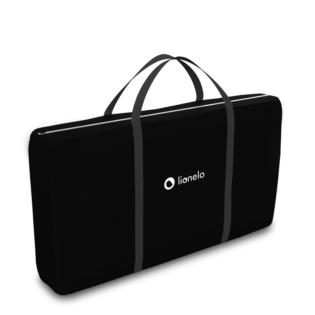 Lionelo Timon torba podrozna