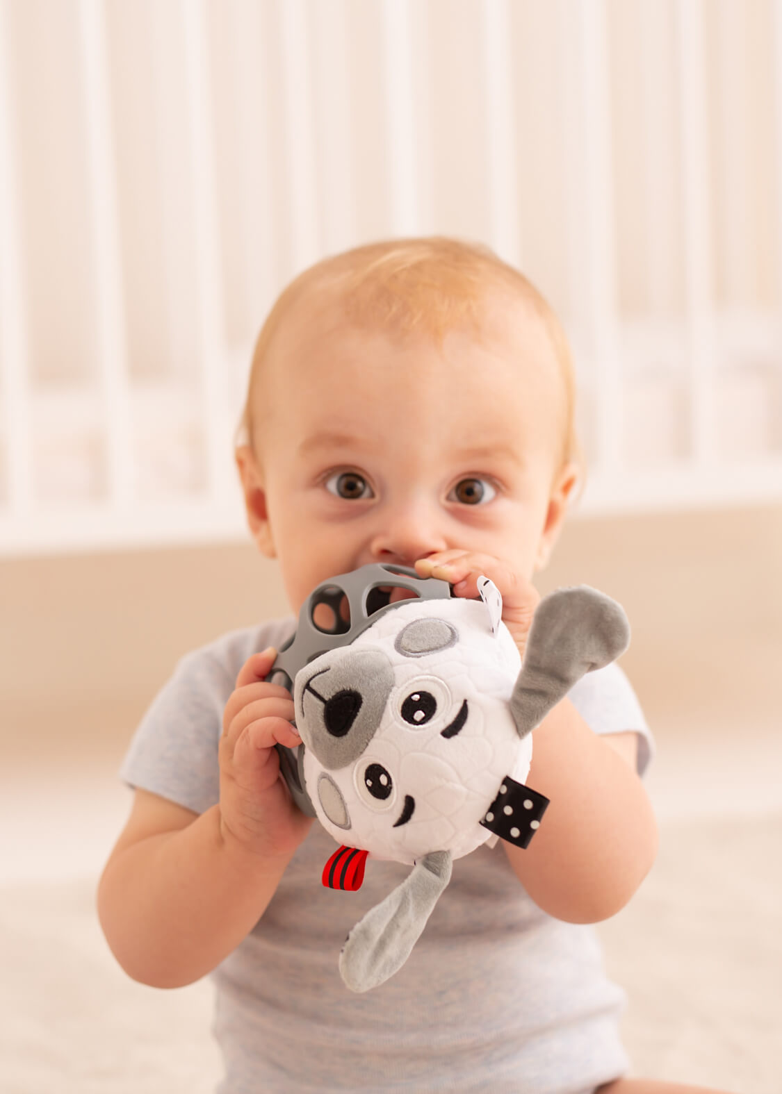 Pies piłka grzechotka sensory