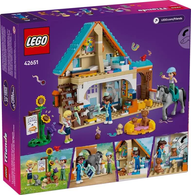 LEGO 42651 tyl