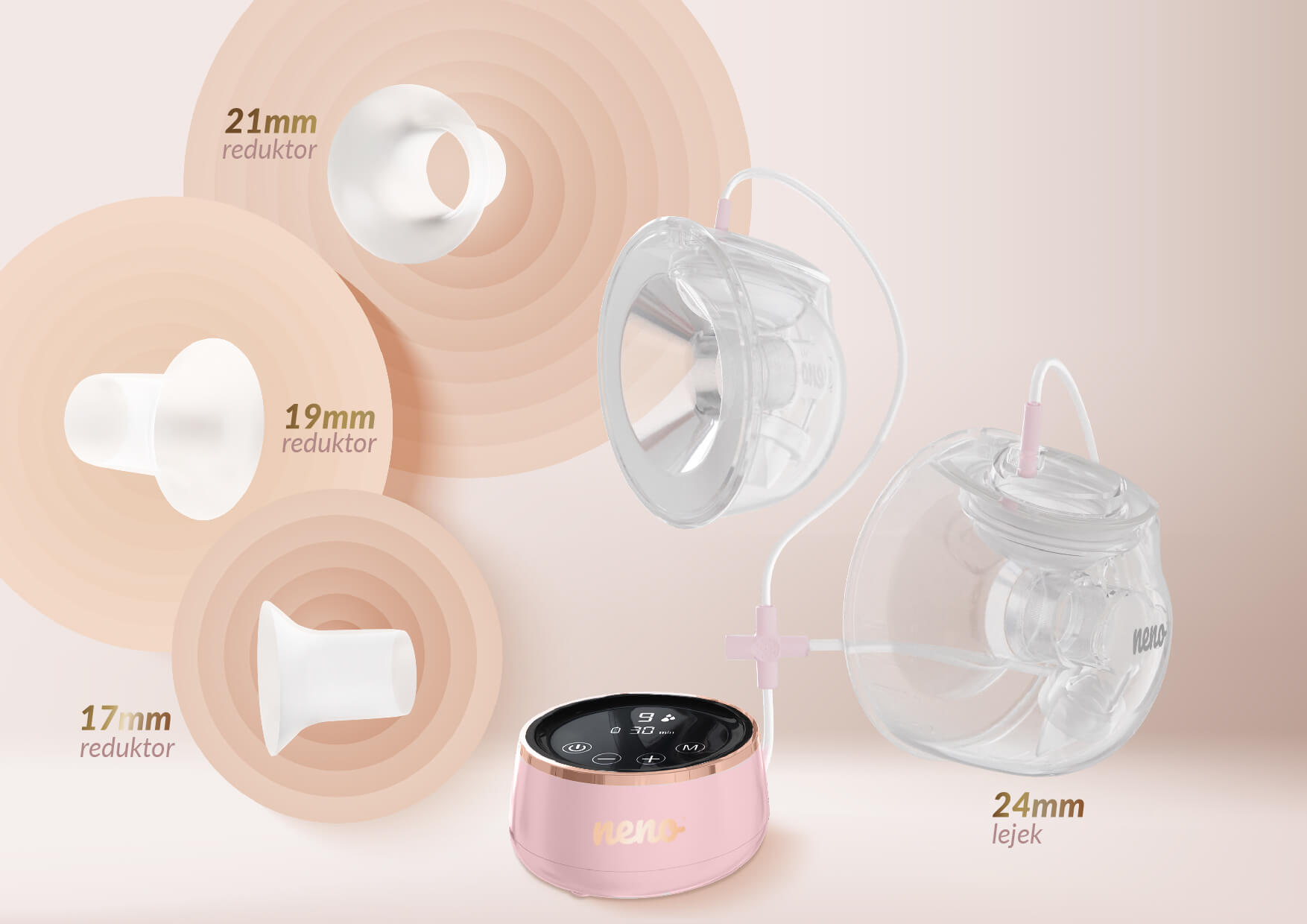 Neno muszle 4 rozmiary